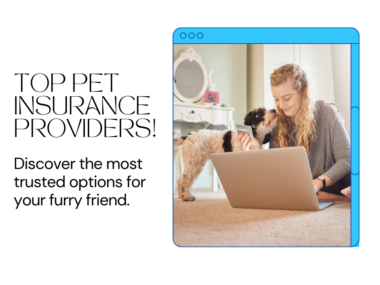 Chart comparing coverage details and benefits of top pet insurance providers like PetPlan, Healthy Paws, and Trupanion