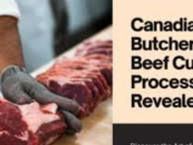 A skilled meat cutter in a Canadian butcher shop, using a band saw to cut large pieces of meat into smaller sections.